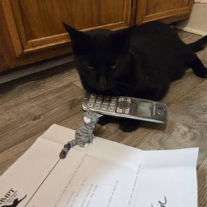 Rose ha añadido una foto de su compra