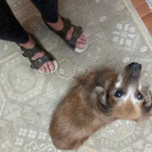 Dana added a photo of their purchase