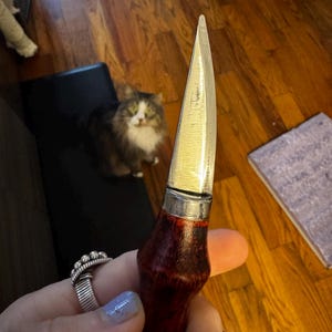 Richard added a photo of their purchase