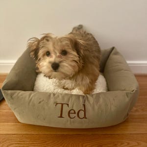 Betsy ha añadido una foto de su compra