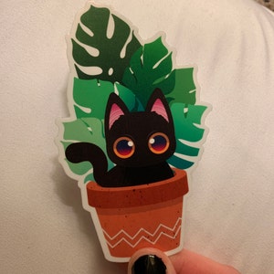 Julia added a photo of their purchase