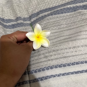 Maylani added a photo of their purchase