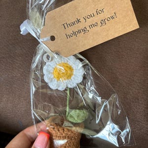Hayley added a photo of their purchase