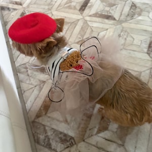 Nancy ha aggiunto una foto del proprio acquisto