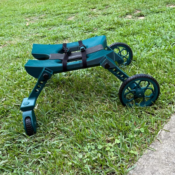 Rat Wheelchair. the Original Ratrover. - Etsy