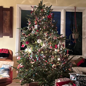 Jenny added a photo of their purchase