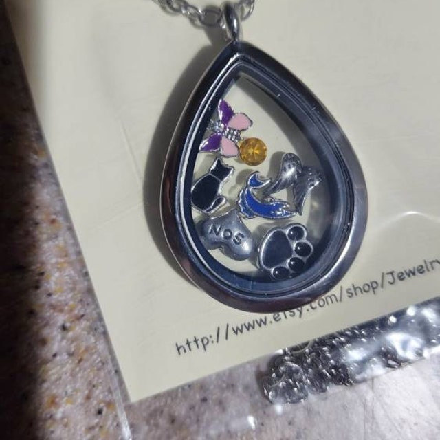 Buy Inspire Memory Locket with Floating Charms for £9.99 | Uneak Boutique