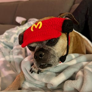 Cassie hat ein Foto des gekauften Artikels hinzugefügt