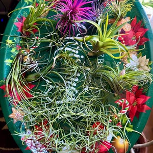 Carrol added a photo of their purchase