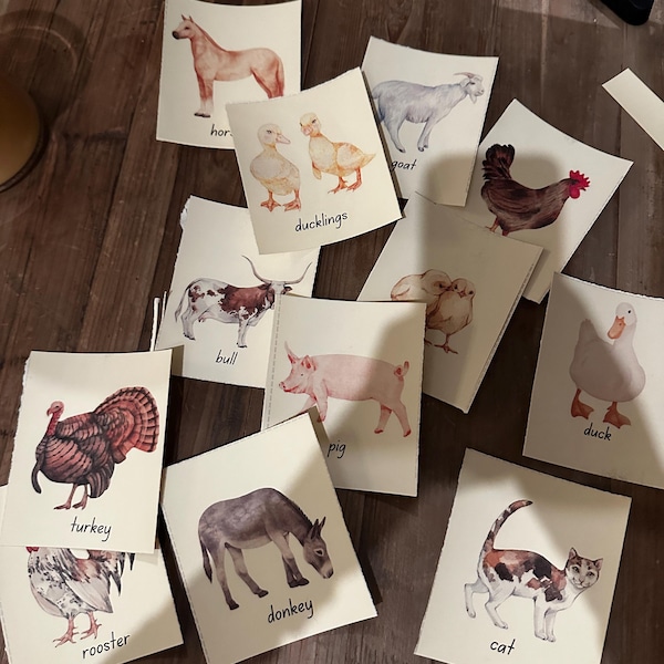 Baby Boy Alphabet Chart Nursery Decor, Printable Educational Decor, Boy