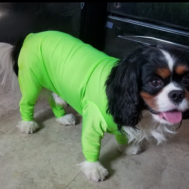 DoggieDirtShirt Etsy