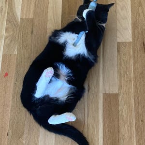 Aviva ha añadido una foto de su compra