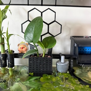 Candice added a photo of their purchase