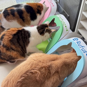 Sandra added a photo of their purchase