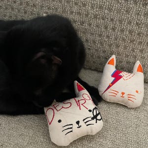 Paul added a photo of their purchase