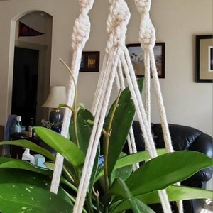 Brittany added a photo of their purchase