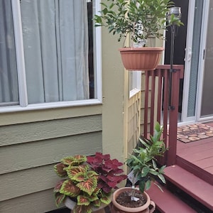 Annie added a photo of their purchase