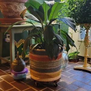 Melodiese added a photo of their purchase
