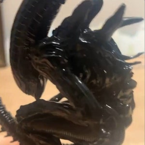 Marie a ajouté une photo de son achat