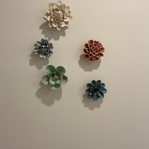 Amy adicionaram uma foto da sua compra