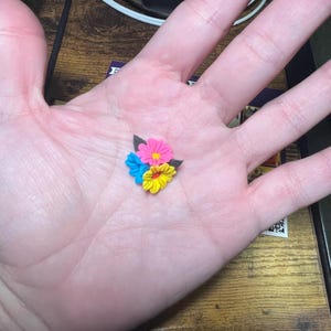 Nichta adicionaram uma foto da sua compra
