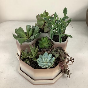 Jackie added a photo of their purchase