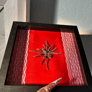 Jennyypennyy added a photo of their purchase