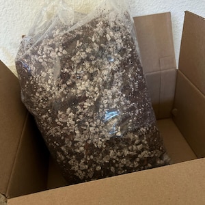 C. added a photo of their purchase
