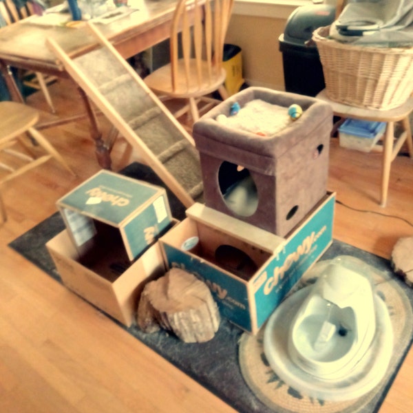 Strong 48 Ramp With or W/O Traction Bumps, FREE SHIP Dog Cat Pet, Dog ...