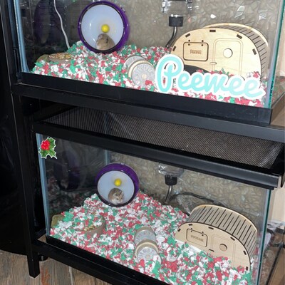 Stunning Custom Hamster Hideaway Containers image