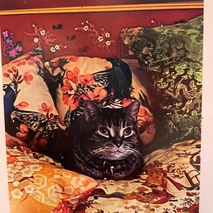 Kathy added a photo of their purchase