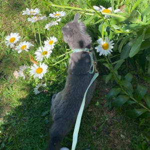 Penelope added a photo of their purchase