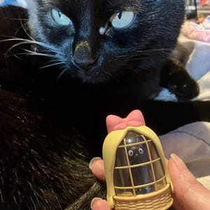 Theo heeft een foto van de aankoop toegevoegd