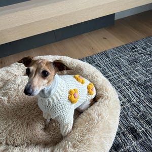 Jodi heeft een foto van de aankoop toegevoegd