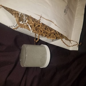 Lily added a photo of their purchase