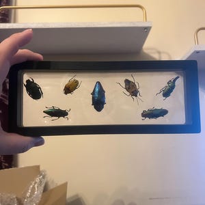 Nora added a photo of their purchase