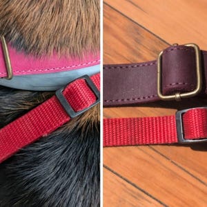 Amy added a photo of their purchase