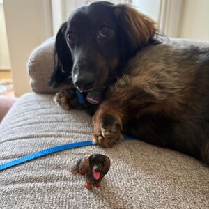 Heidi a ajouté une photo de son achat