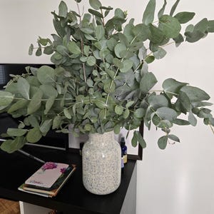 Petra added a photo of their purchase