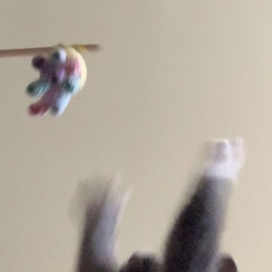 Alexis heeft een foto van de aankoop toegevoegd