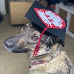 University or School Block Letters Dog Graduation Cap  Hat ANY College CUSTOM