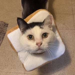 Emily ha añadido una foto de su compra