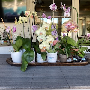 Teri added a photo of their purchase