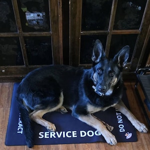 Brent added a photo of their purchase