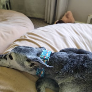 Susan added a photo of their purchase