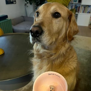 Etsy-köpare lade till en bild av sitt köp