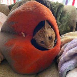Ashley added a photo of their purchase