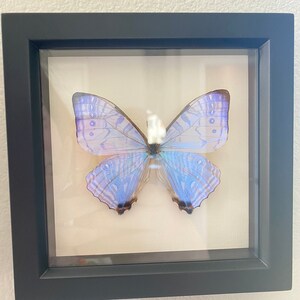 Danielle added a photo of their purchase