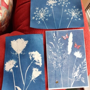 Lesley added a photo of their purchase