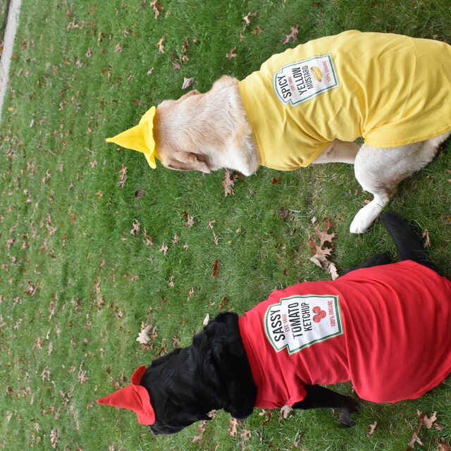 Mustard dog cheap costume